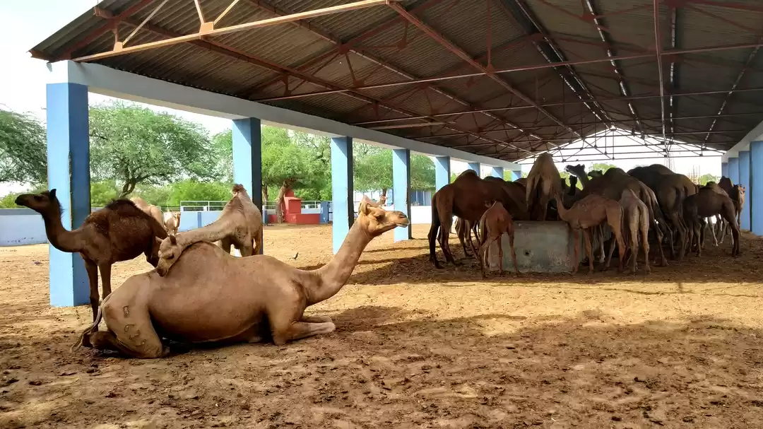 Photo of Travel Guide for ‘Ca