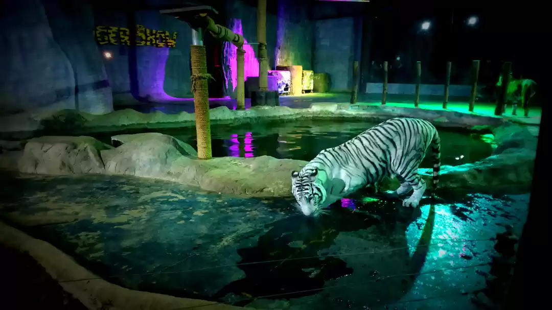 Photo of I accidentally visit