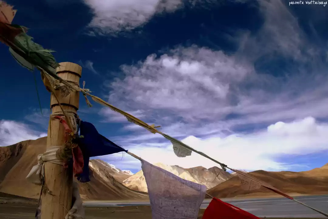 Photo of At sub-zero temperat