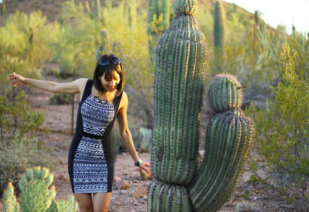 The Desert Botanical Garden In Phoenix Az Tripoto