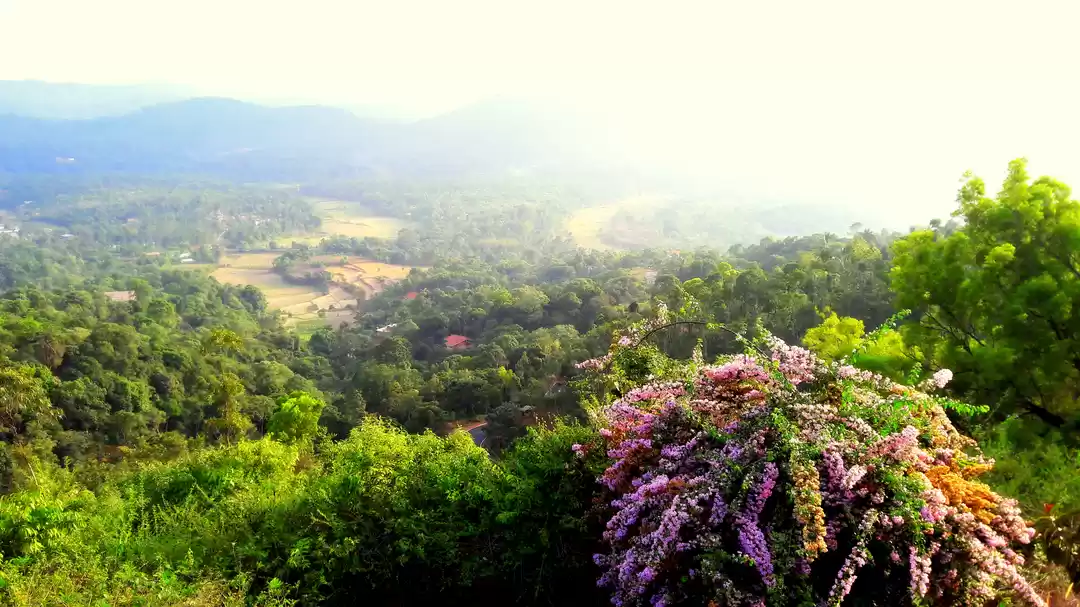 Photo of Coorg~ a beautiful p