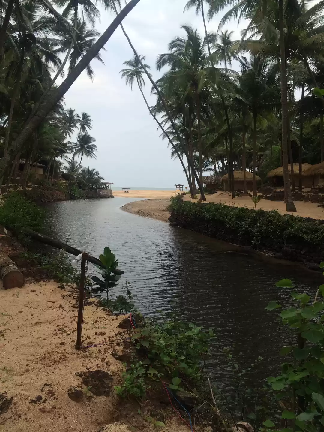 Photo of Goa | The South Reme