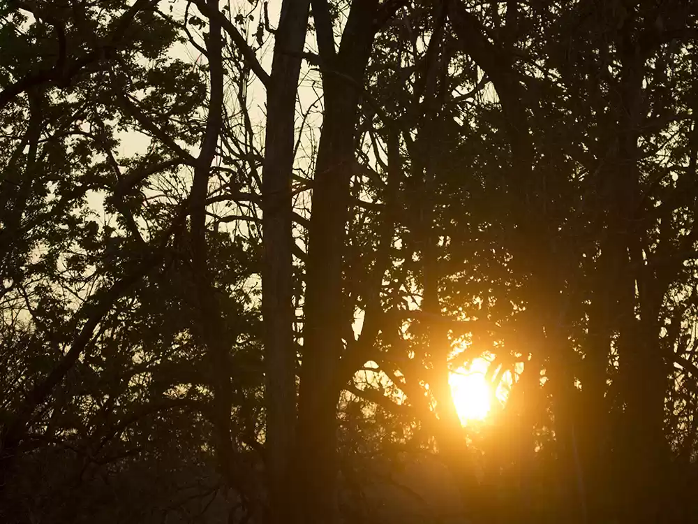 Photo of WOW Wildlife moment-