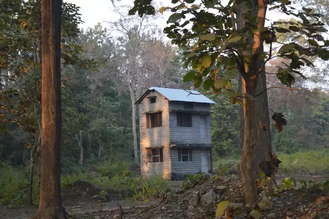 Photo of Face off with 'The W