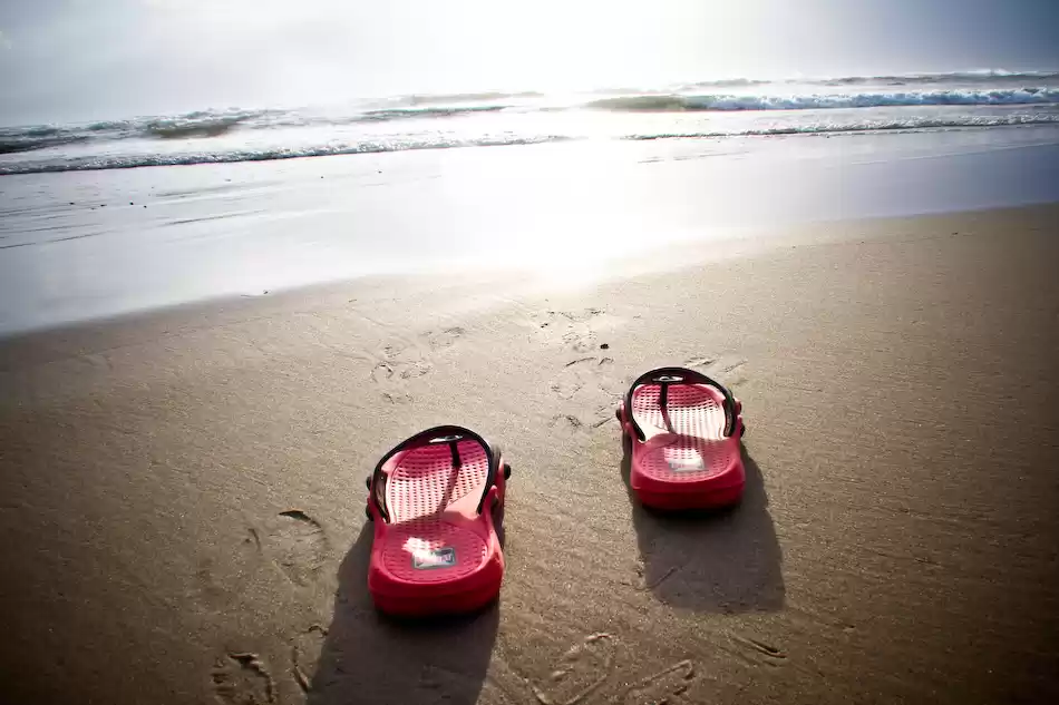 Photo of Go Goa : The Perfect