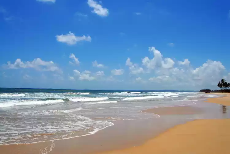 Photo of Goa For The Pathfind