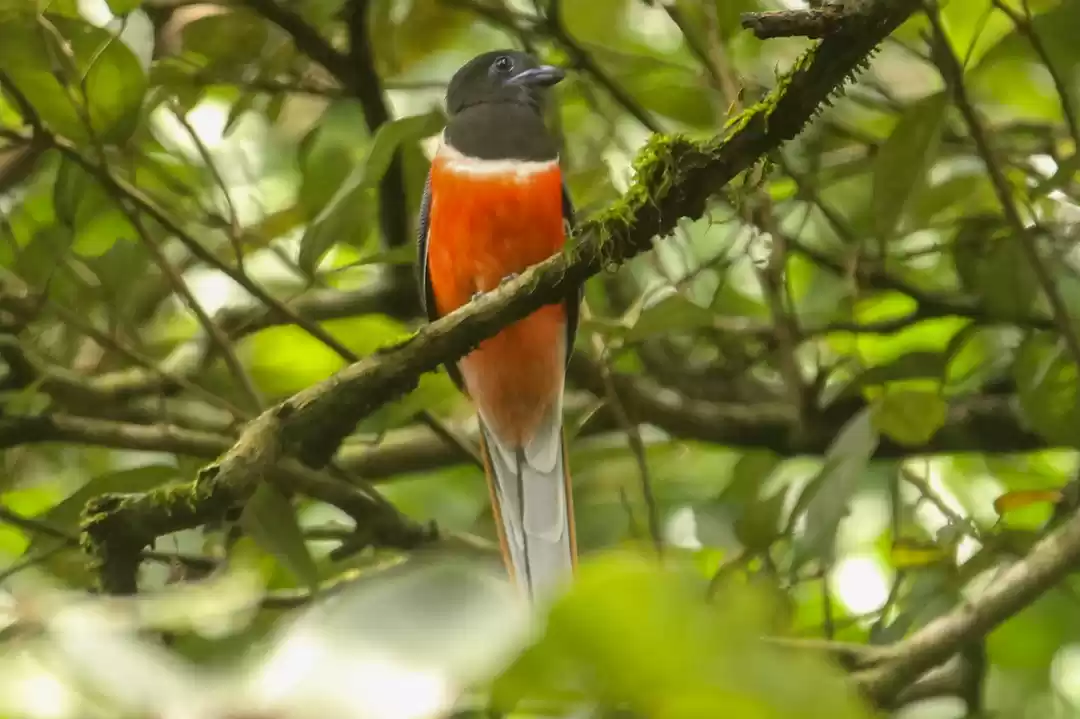 Photo of Old Magazine House -