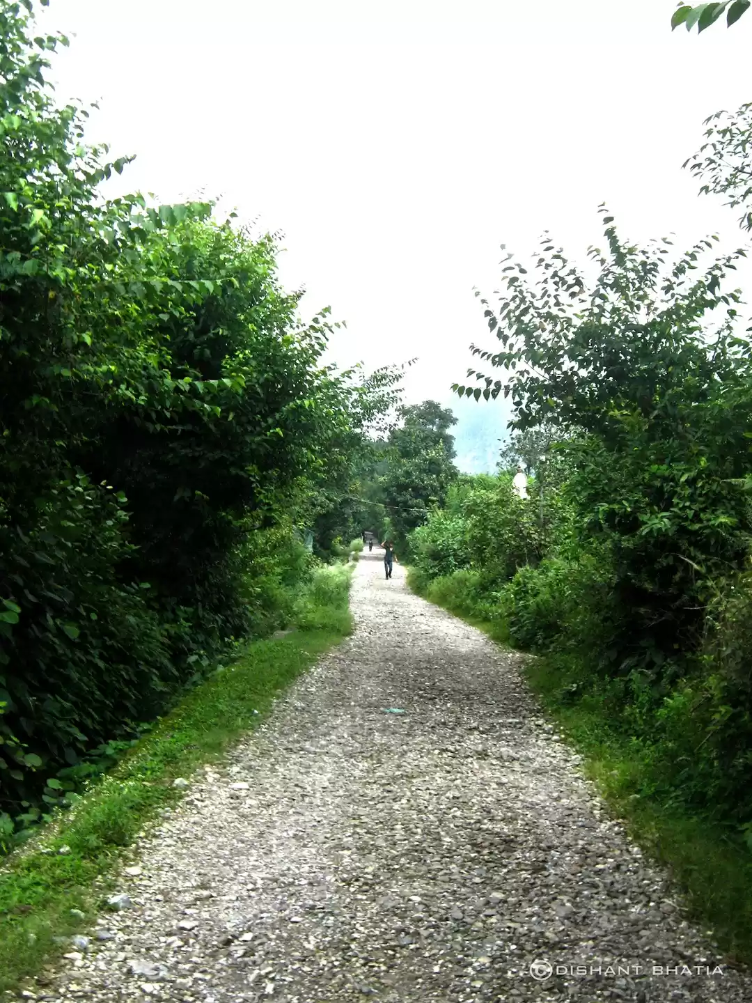 Photo of Devi Pindian Trek - 