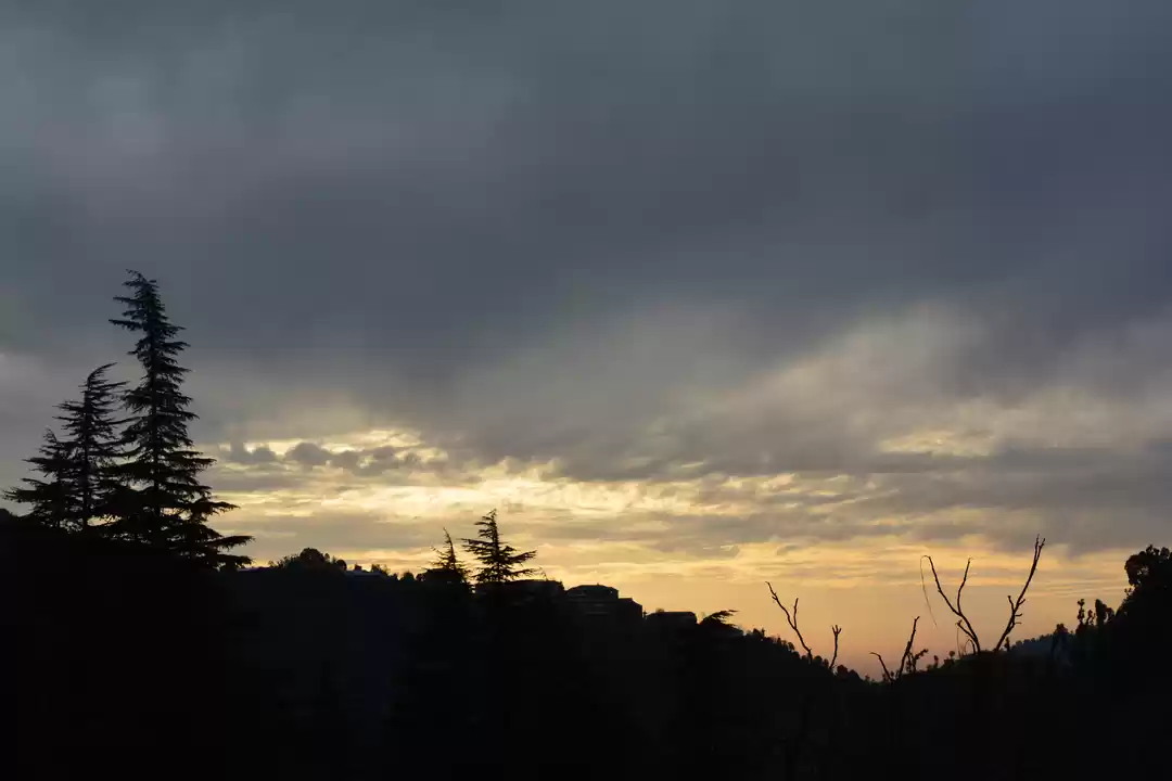 Photo of Mellow in McLeodganj