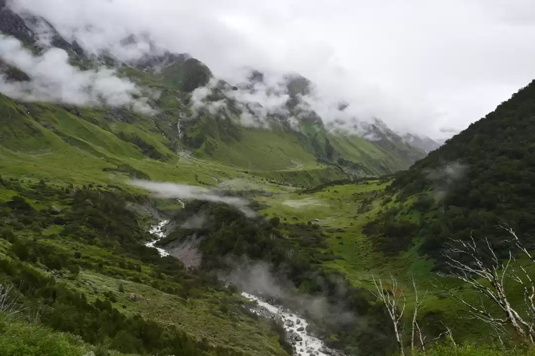 Photo of How I found myself o