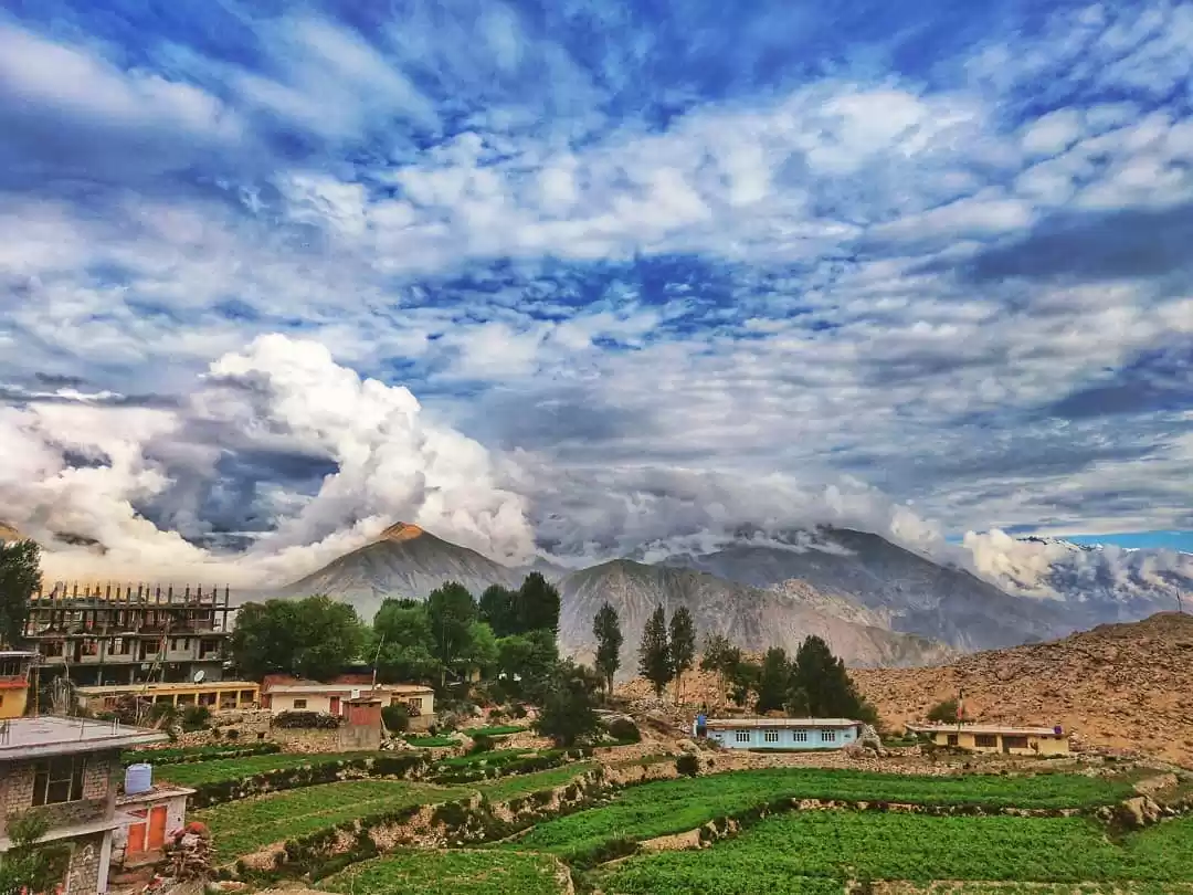 Photo of 5 pictures, 5 poems 