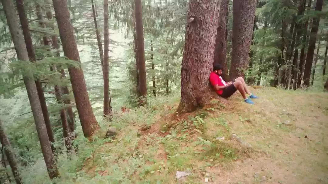 Photo of Pulga - The unexplor