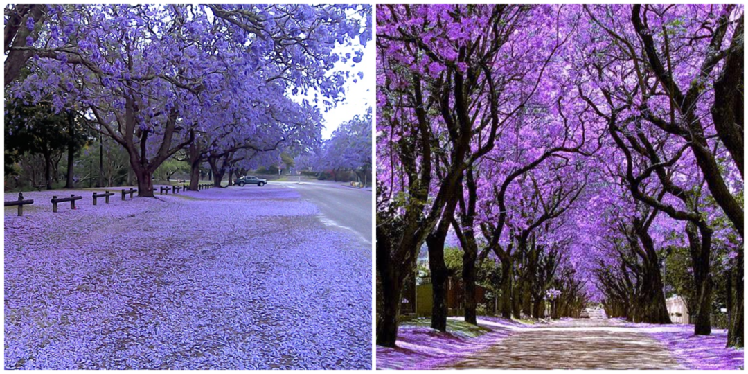 Photo of Here is South Africa