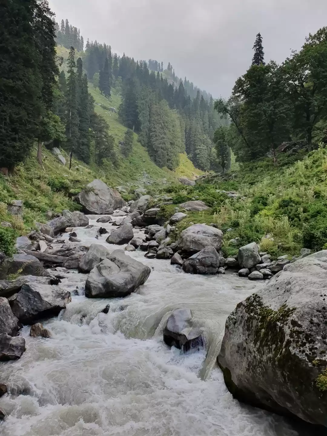 Photo of Hampta pass & Chandr