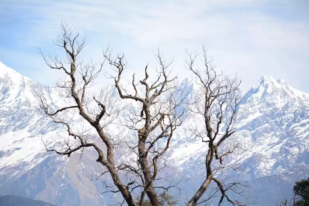 Photo of A roadtrip to the he