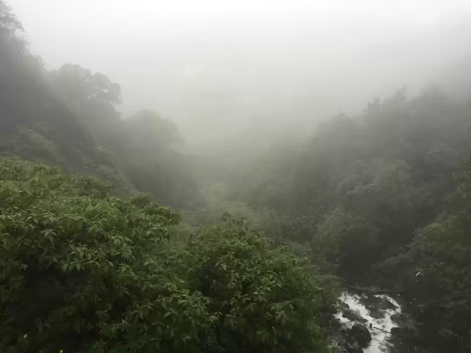 Photo of Mahableshwar - A bea