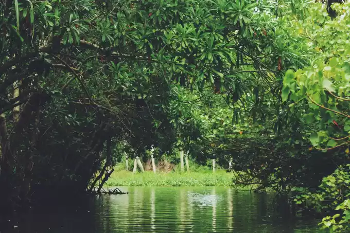 Photo of Ironically, sailed a