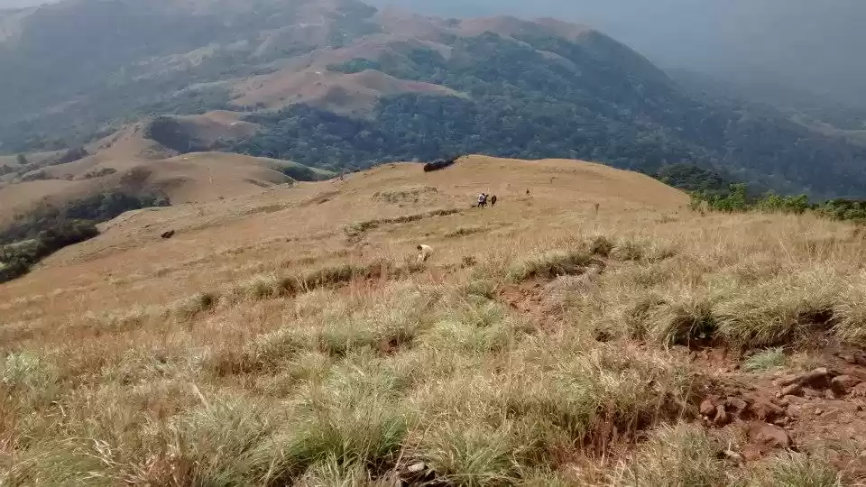 Photo of Salvation at Kumara 