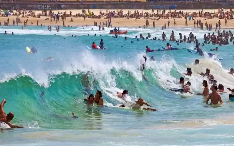 Photo of 5 Must Do's in Sydne