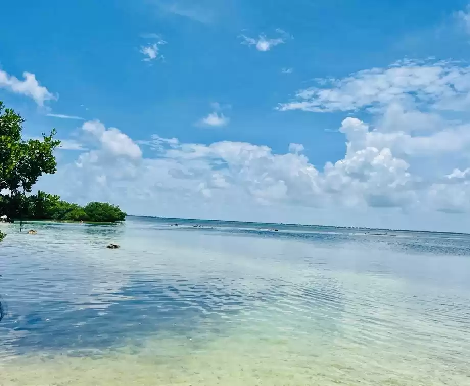 Photo of Unlocking Paradise: 