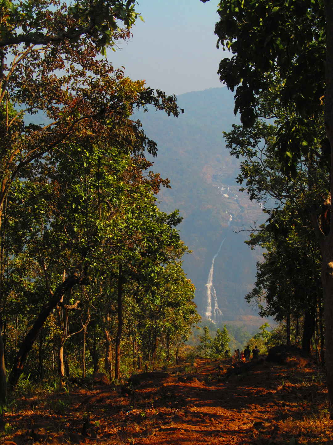 Head To Similipal For Waterfall Mountain Forest And Wilderness Tripoto The state government on thursday approved a rs.2.14 crore management action plan (map) for similipal biosphere. head to similipal for waterfall