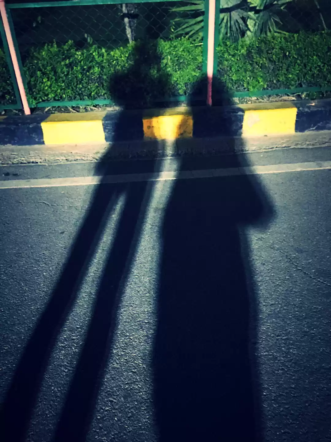 Photo of Dilli Connection: 5