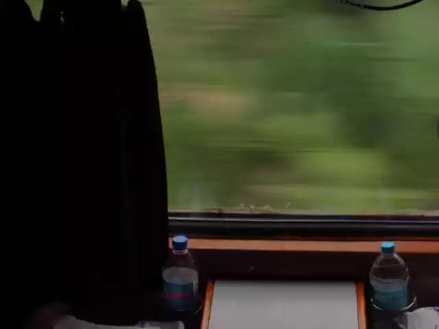 Photo of A Birding Wonderland