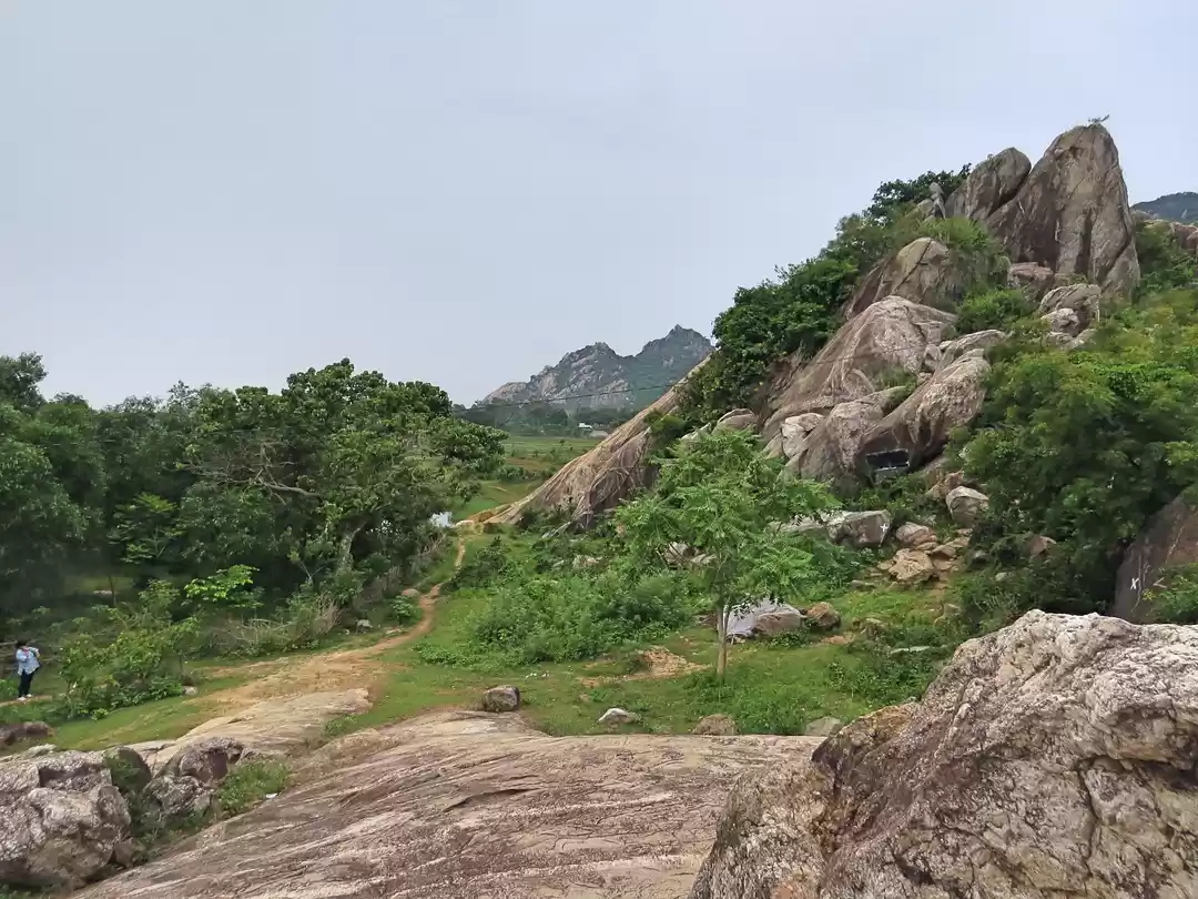 Photo of Alone in a Crowd