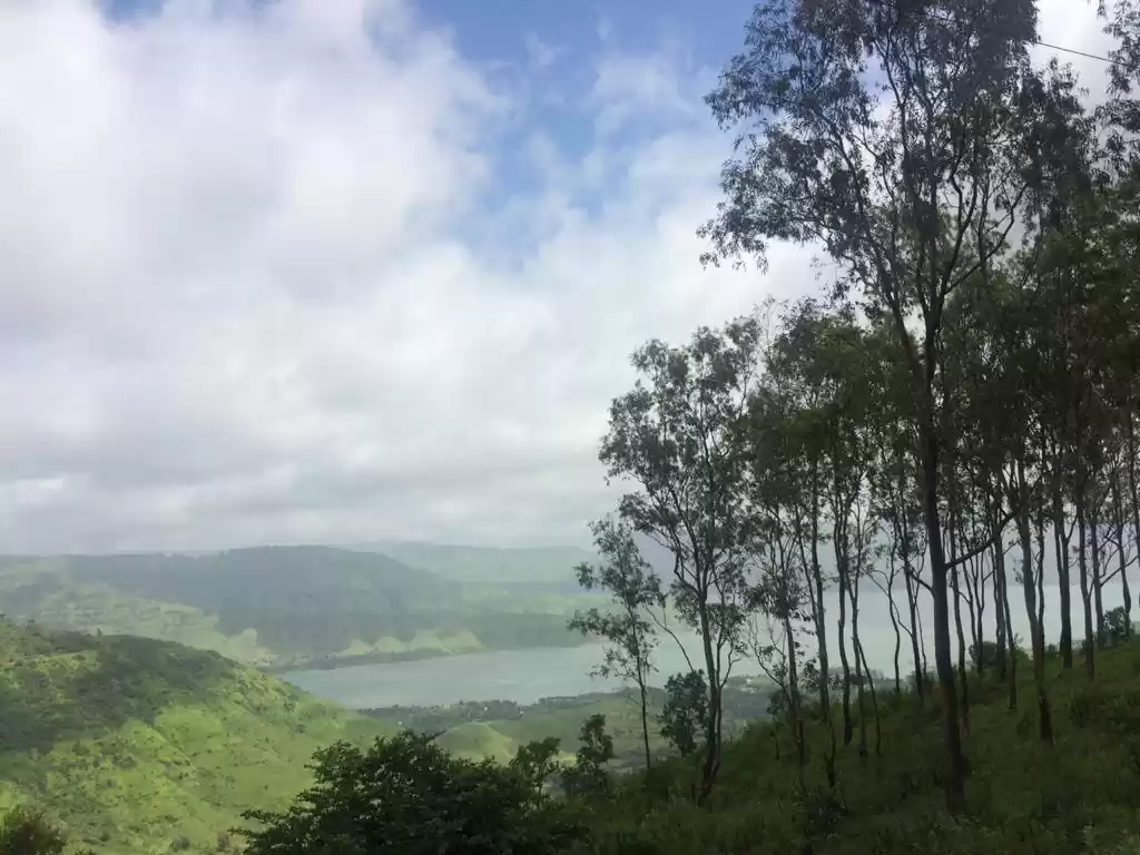 Photo of Mahabaleshwar : Trea