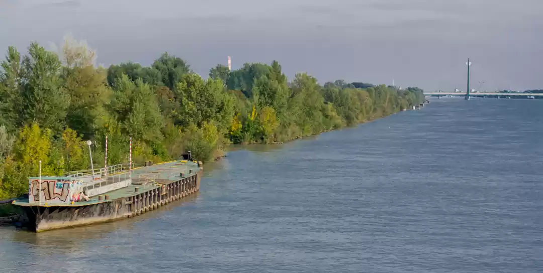 Photo of I CAN’T TRAVEL ANYTI