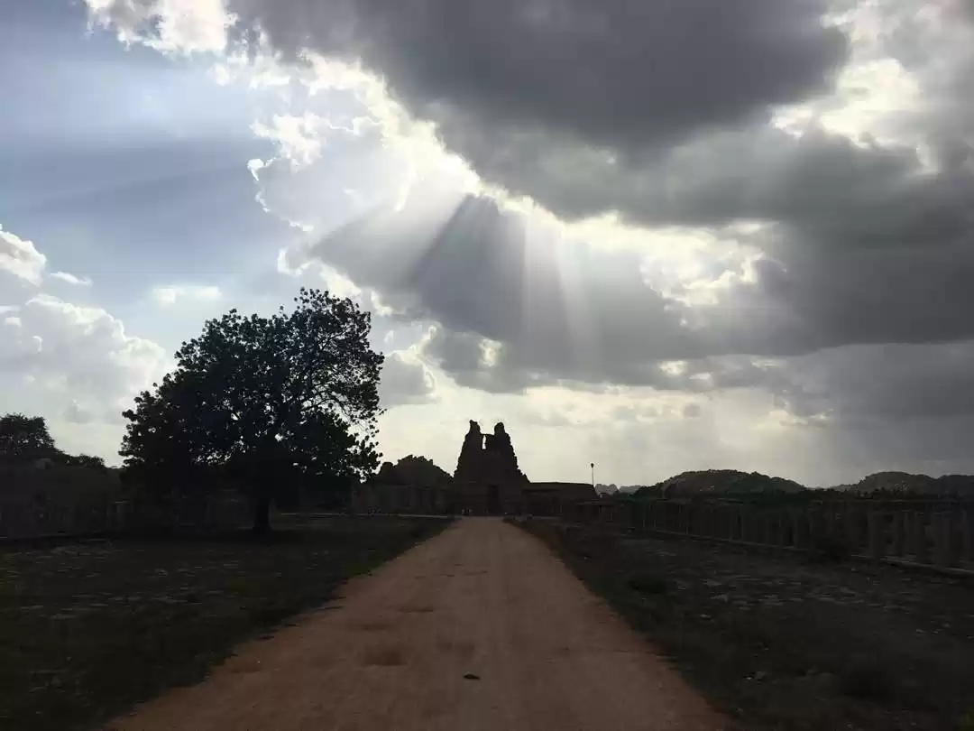 Photo of Don't Worry- Be Hamp