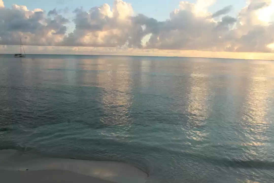 Photo of The untravelled Mald