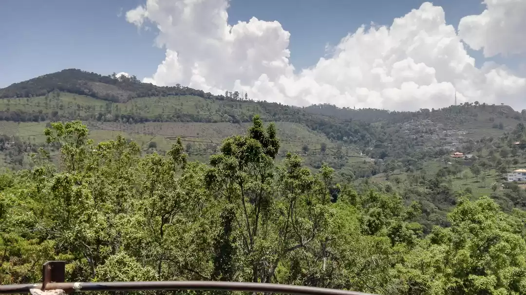 Photo of Nestled in the Nilgi