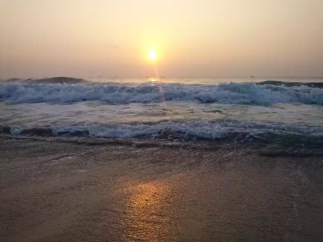 Photo of Cherry in the South-