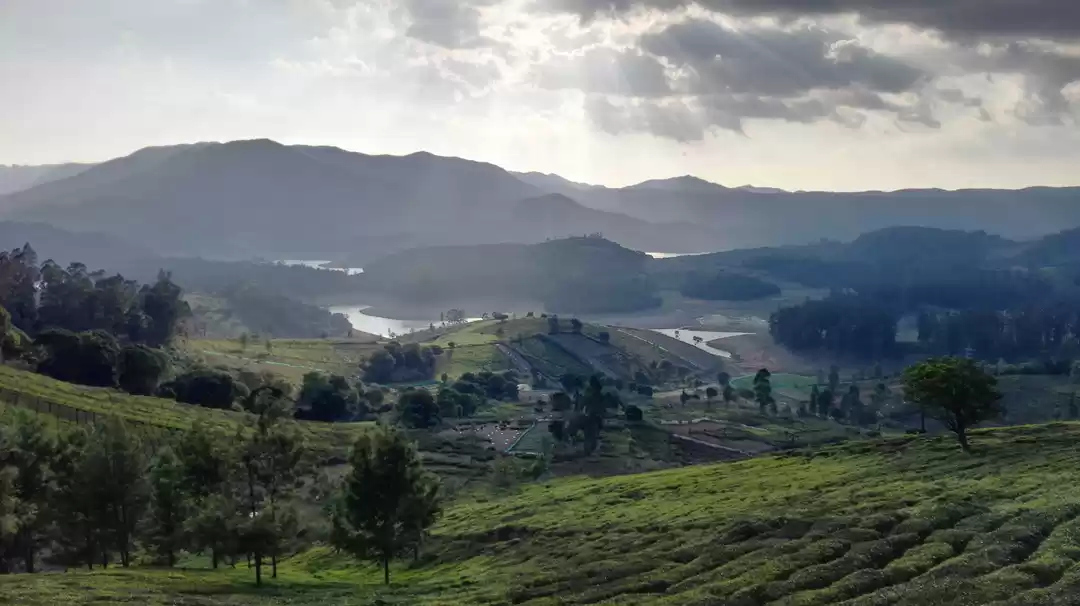 Photo of Queen of Hills- Ooty