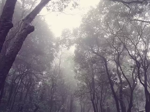 Photo of Matheran Memories