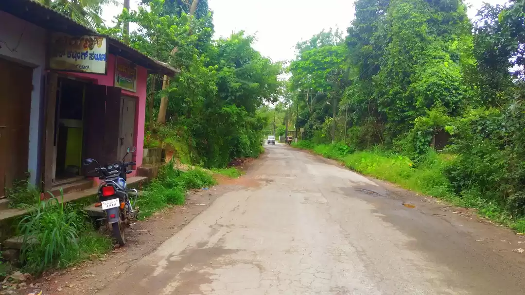 Photo of An excursion to the