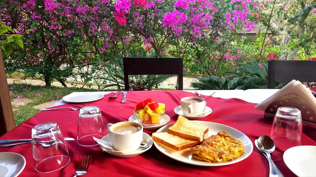 Photo of Goa's most beautiful