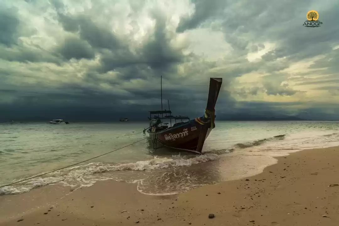Photo of A taste of real Thai