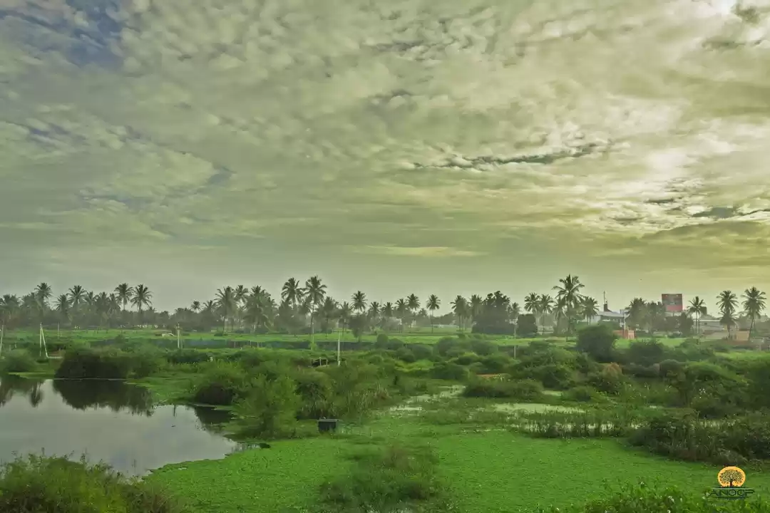 Photo of Hoskote Lake – A par