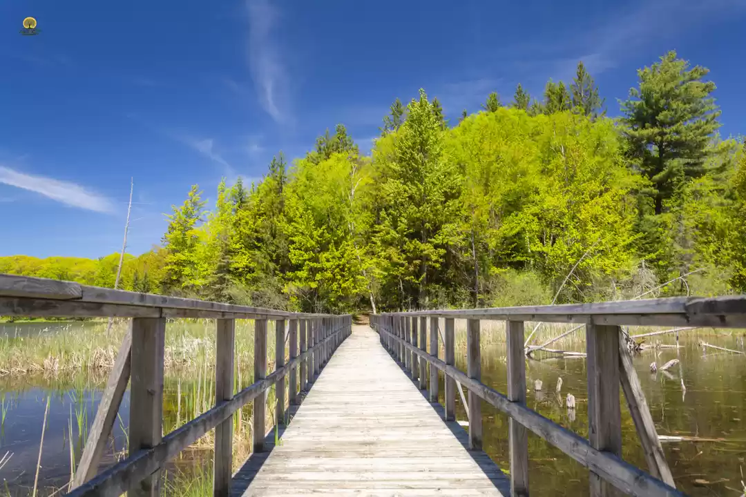 Photo of A Voyage to Awenda P