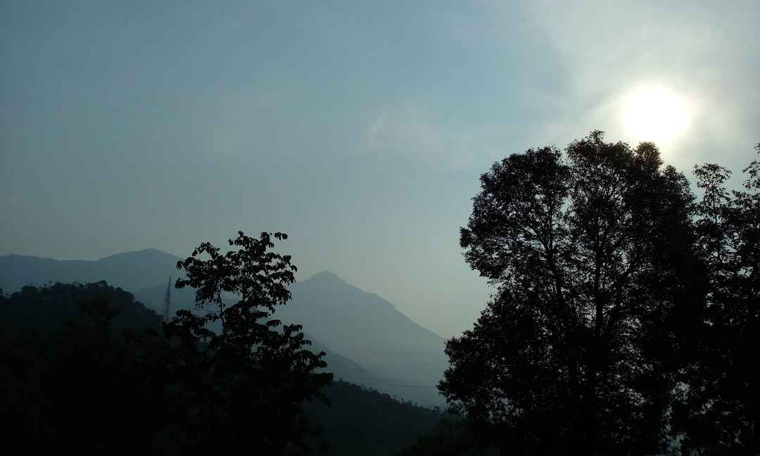 Photo of Adrenaline kick: Kerala (Munnar: Thekkady: Alleppey)
