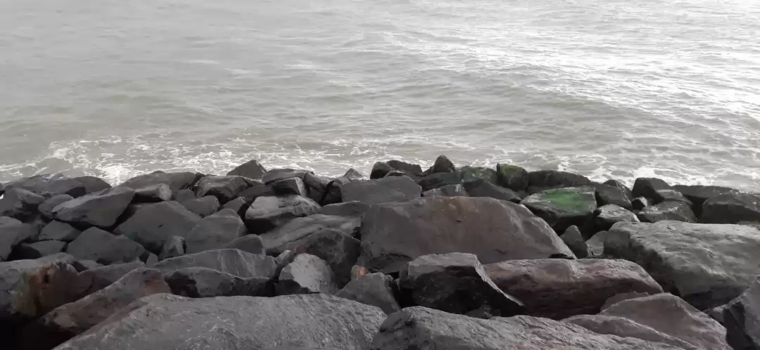 Photo of Kannur...who would h