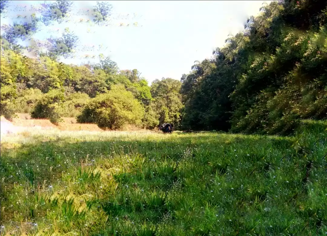 Photo of Agumbe - Beyond Mons