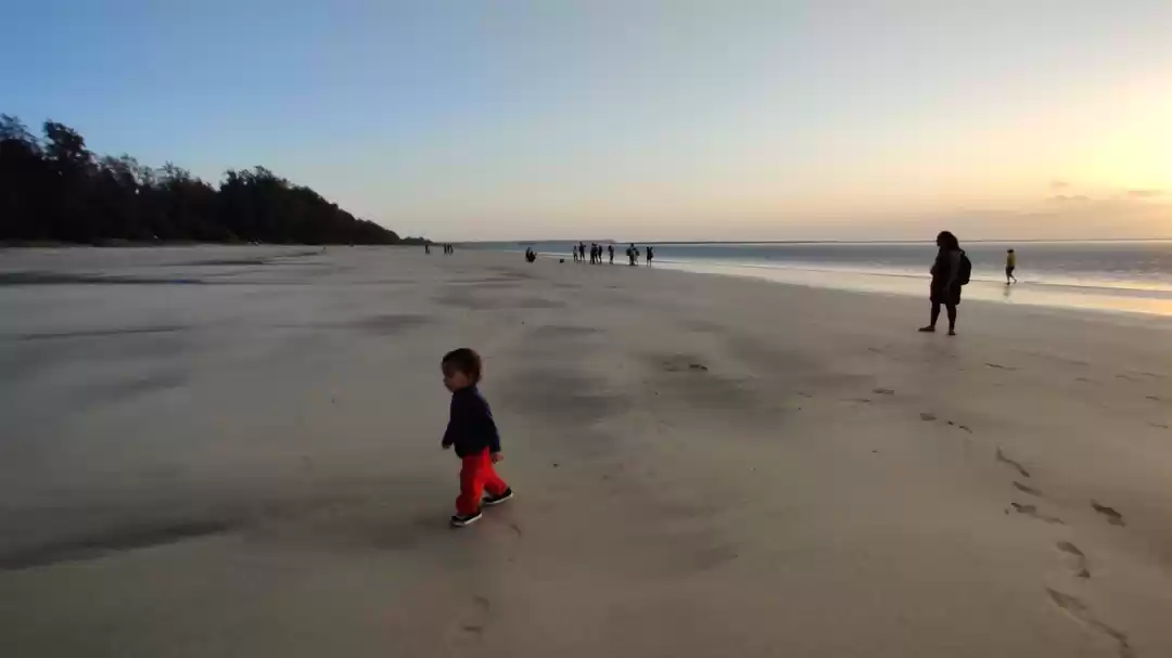 Photo of Dahanu Beach, Bordi