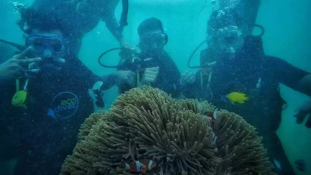 Photo of Trip to Andaman & Ni