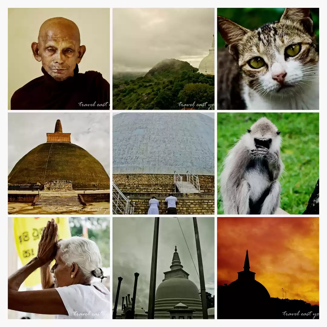 Photo of Trip Alpha - I