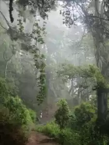 Photo of Tiger Nest Monastery
