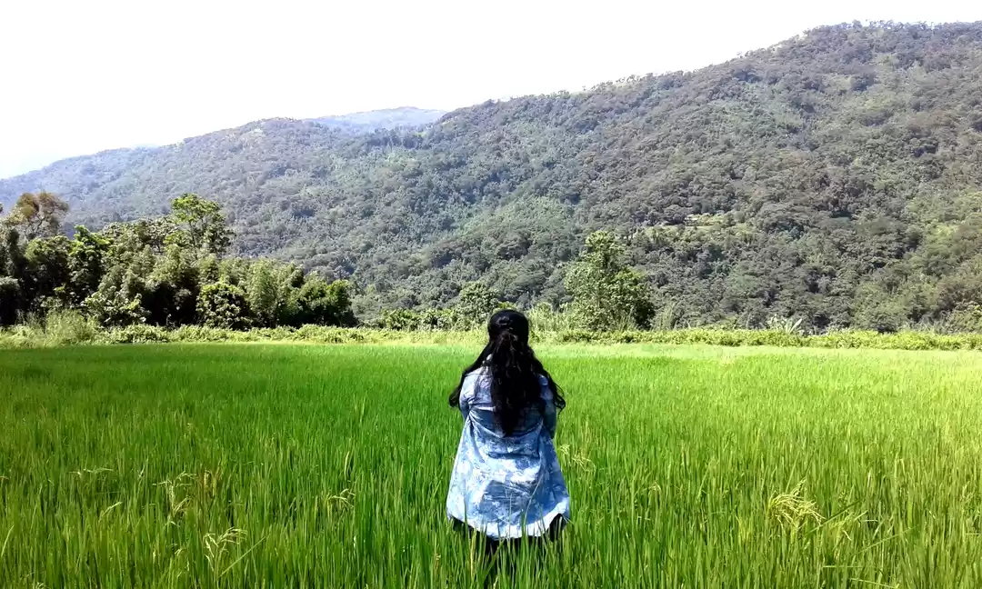 Photo of Solo walk in lone hi