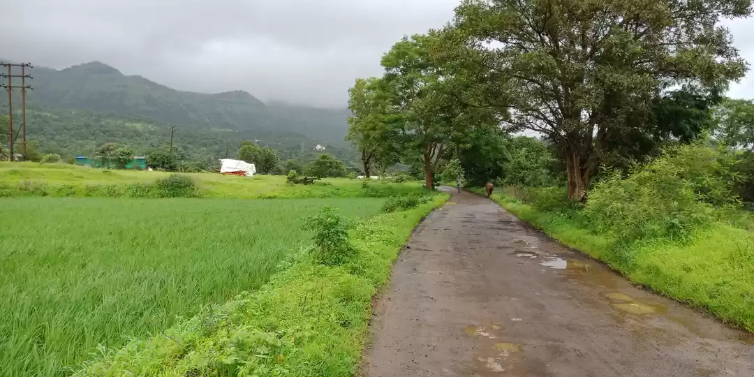 Photo of Khadakwasla and Pans